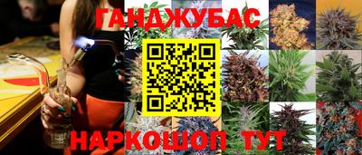 PSILOCYBIN Химки