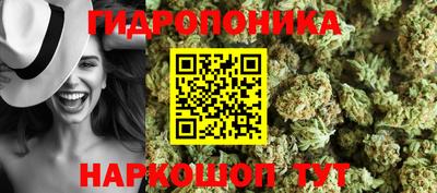 PSILOCYBIN Химки