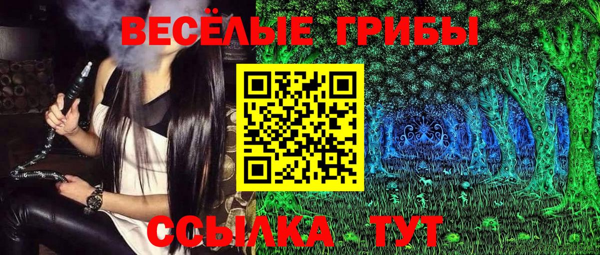 Псилоцибиновые грибы мицелий Барнаул