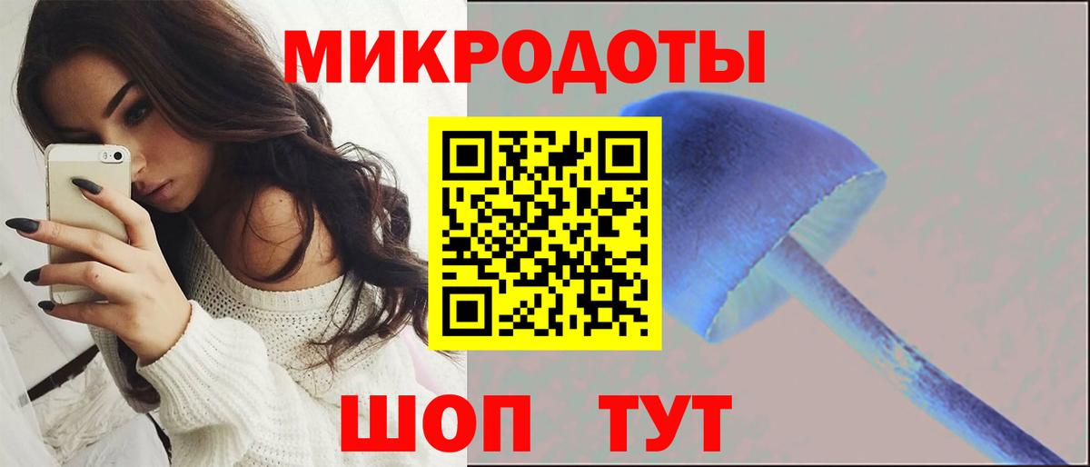 где продают   Псилоцибиновые грибы Psilocybine cubensis  Вход с VPN  Барнаул 