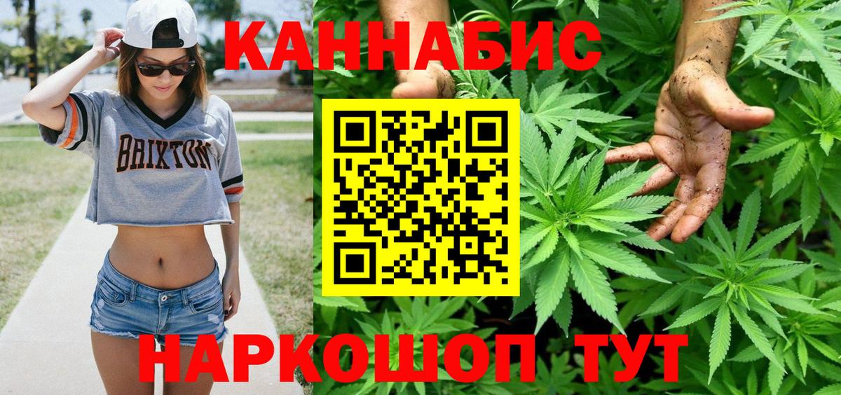 Бошки Шишки сатива Барнаул